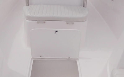 Grandes amigos a bordo, bela pescaria