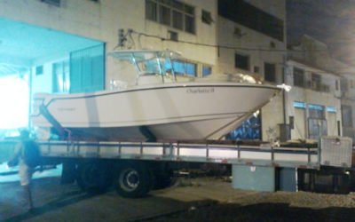 Victory 260 – Comandante Fernando