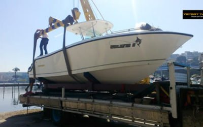 Victory 260 – Comandante Felipe