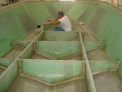 Regulando a torção do barco