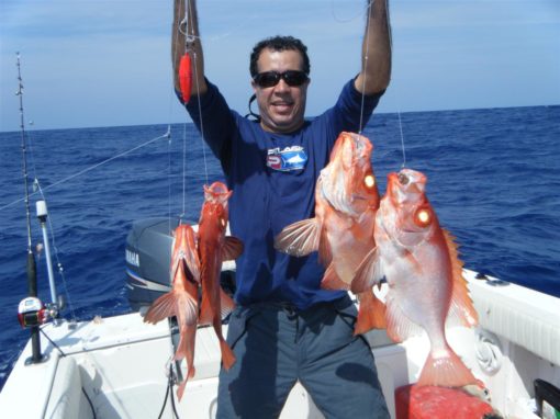 Pescaria Paulo Vilela