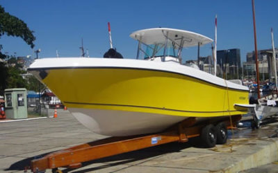 Manchas de Ferrugens na Fibra