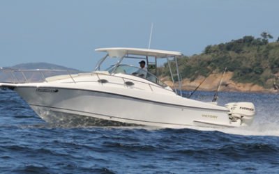 RIPEAM – Regras de Governo e de Navegação