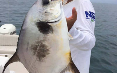 Antonio Bento Mota Dias Junior