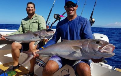 Ultimas da tubara, temporada dos gigantes chegando