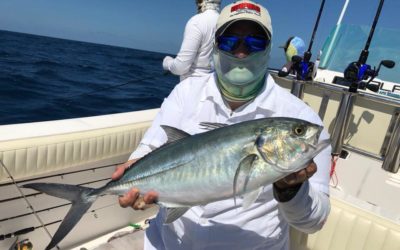 Domingão de muito vento. Navegação difícil e os bichos bem manhosos