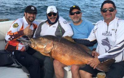 Troféu gigante de 40 kg