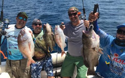 Aooowww tem bicho grande no fundo! Big Pargão