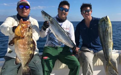 Mar abriu uma portinha finalmente aí chega a hora de fazer a lição de casa