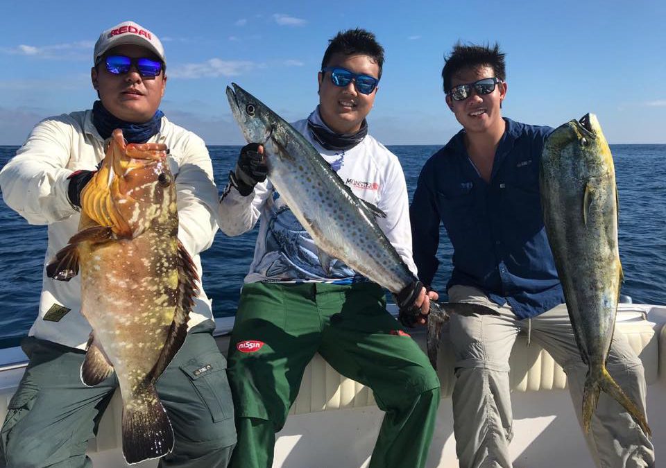 Mar abriu uma portinha finalmente aí chega a hora de fazer a lição de casa