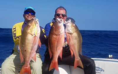 So os monstros! VERÃO, epoca boa de curtir a pescaria com os amigos