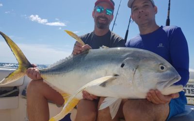 Primeiras do ano, so saiu Monstrooooo, comecamos com o pé direiro 2019