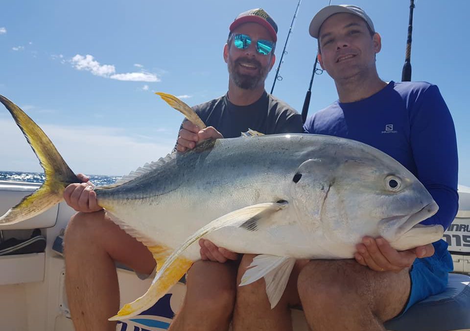 Primeiras do ano, so saiu Monstrooooo, comecamos com o pé direiro 2019