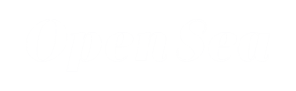 OPEN-SEA.png